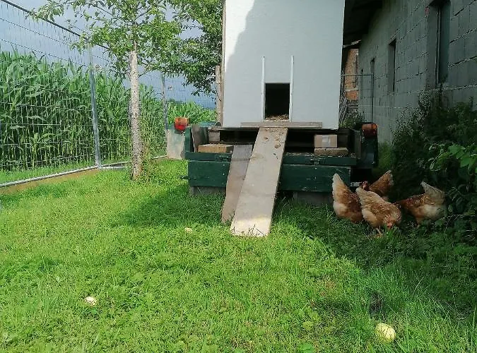 Apartament Grafhaidergut - Urlaub Am Bauernhof - Auszeit Am Land