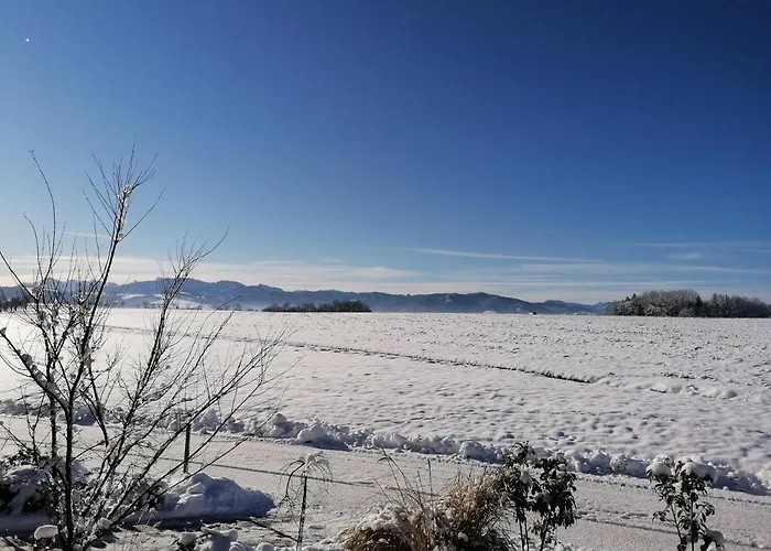 Grafhaidergut - Urlaub Am Bauernhof - Auszeit Am Land