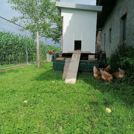 דירה Grafhaidergut - Urlaub Am Bauernhof - Auszeit Am Land